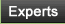 Experts