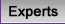 Experts