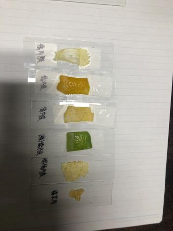111-1 大直(5)